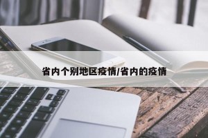 省内个别地区疫情/省内的疫情