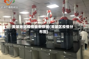 黄陂地区疫情最新数据(黄陂区疫情分布图)