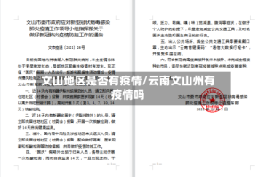 文山地区是否有疫情/云南文山州有疫情吗