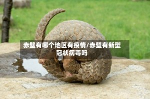 赤壁有哪个地区有疫情/赤壁有新型冠状病毒吗