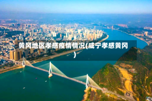 黄冈地区孝感疫情情况(咸宁孝感黄冈)