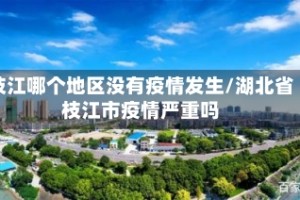 枝江哪个地区没有疫情发生/湖北省枝江市疫情严重吗