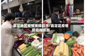 嘉定地区疫情保障超市/嘉定区疫情防控指挥部