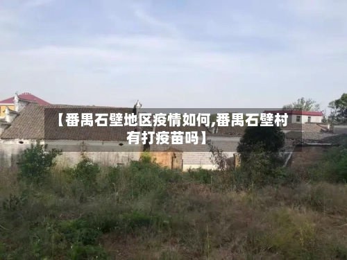 【番禺石壁地区疫情如何,番禺石壁村有打疫苗吗】-第1张图片