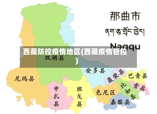 西藏防控疫情地区(西藏疫情管控)-第1张图片