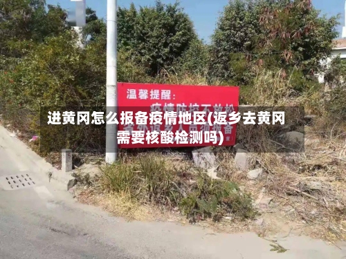 进黄冈怎么报备疫情地区(返乡去黄冈需要核酸检测吗)-第2张图片