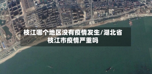 枝江哪个地区没有疫情发生/湖北省枝江市疫情严重吗-第2张图片