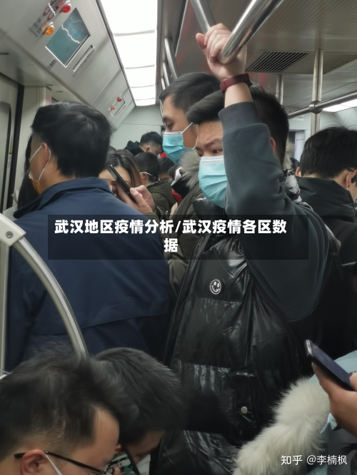 武汉地区疫情分析/武汉疫情各区数据-第1张图片
