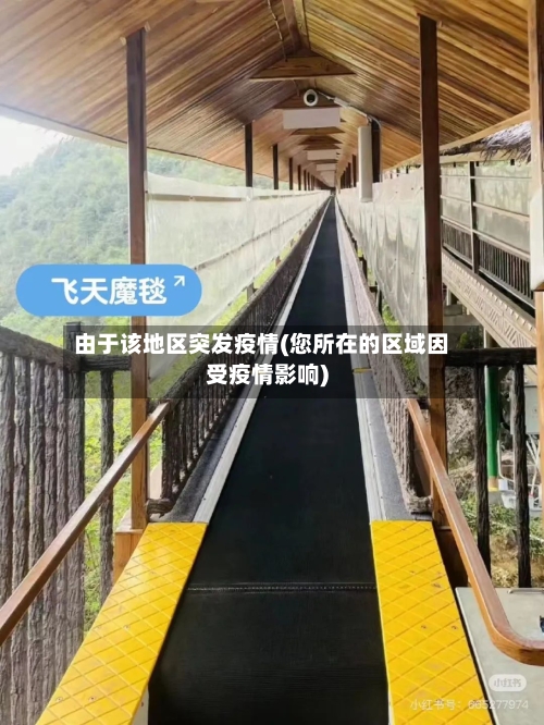 由于该地区突发疫情(您所在的区域因受疫情影响)-第2张图片