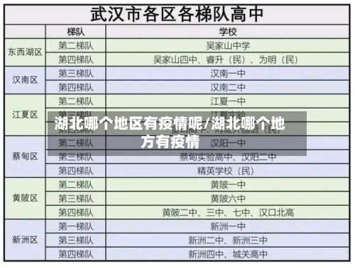 湖北哪个地区有疫情呢/湖北哪个地方有疫情-第1张图片