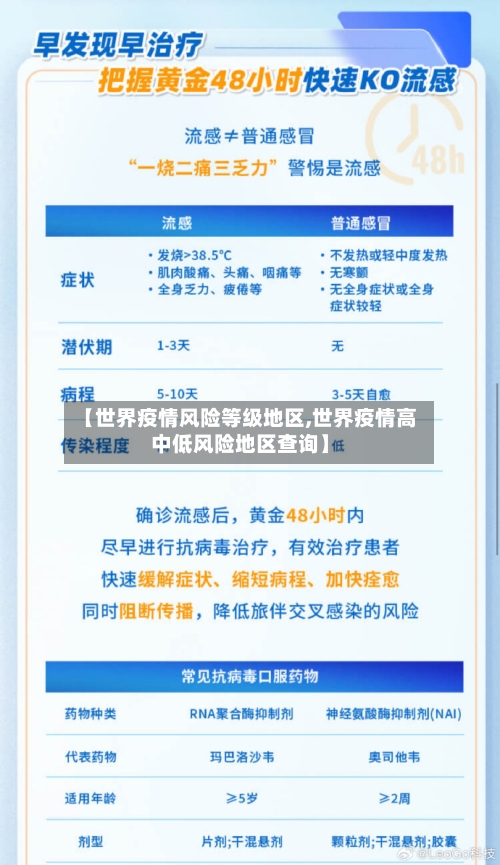【世界疫情风险等级地区,世界疫情高中低风险地区查询】-第3张图片