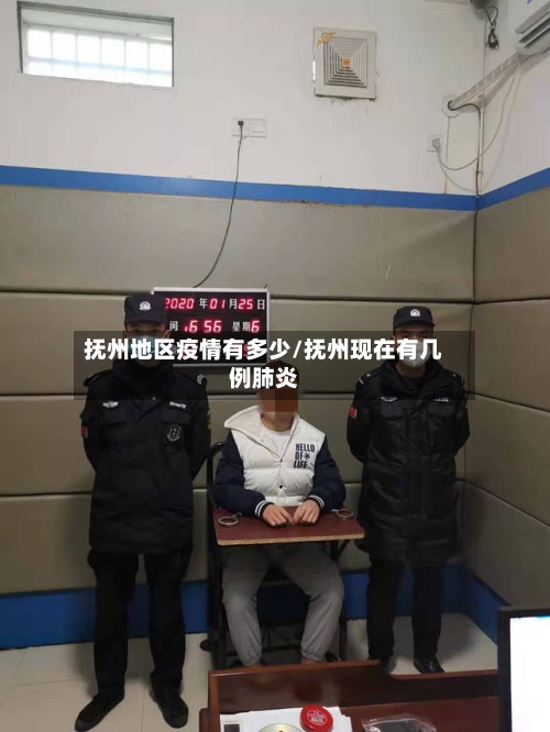 抚州地区疫情有多少/抚州现在有几例肺炎-第3张图片