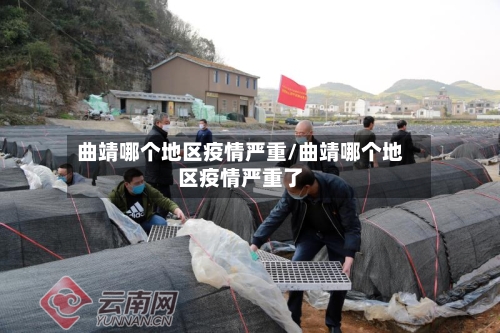 曲靖哪个地区疫情严重/曲靖哪个地区疫情严重了-第3张图片